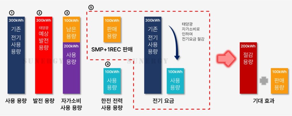 태양광 전력 계약 유형, 자가용PPA의 예시