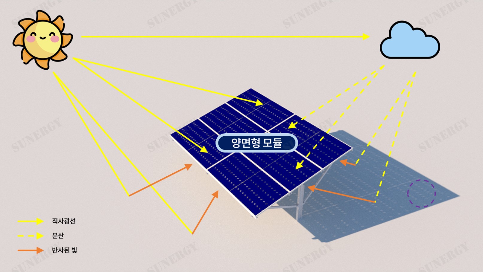 03_T_06. 태양광 모듈 기술 분석 단면형과 양면형 비교_양면형 모듈